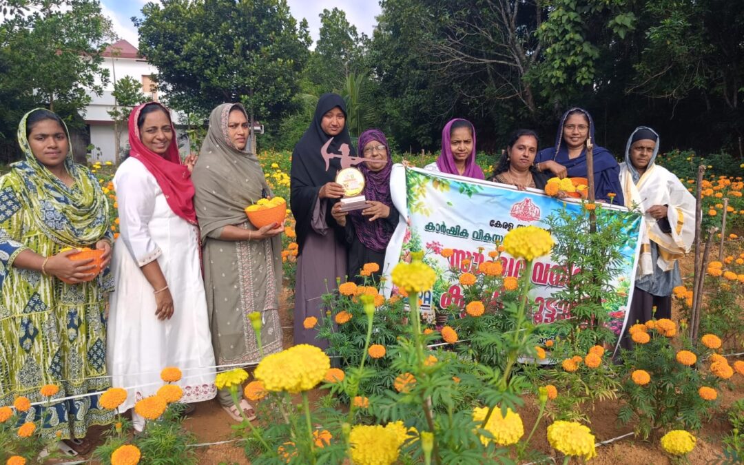 പൂവനി കൃഷി ഉത്സവമാക്കി ‘സൗഹൃദ’ വനിതാ കൂട്ടായ്മ-പൊതു ജനത്തിന് സൗജന്യ പ്രവേശനം
