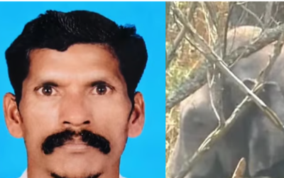 വീണ്ടും ആനക്കലി; ഇടുക്കിയില് കാട്ടാന ആക്രമണത്തില് ഒരാള് മരിച്ചു