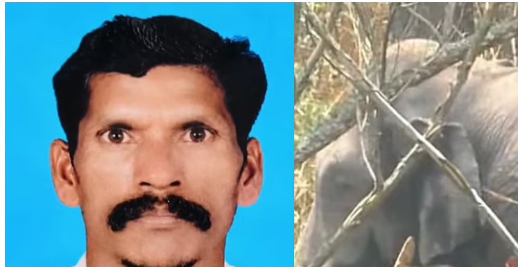 വീണ്ടും ആനക്കലി; ഇടുക്കിയില് കാട്ടാന ആക്രമണത്തില് ഒരാള് മരിച്ചു