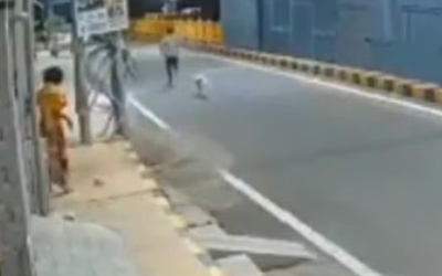 രാത്രി റോഡില്‍വച്ച് പീഡിപ്പിക്കാന്‍ ശ്രമം, യുവതിയുടെ രക്ഷകരായി തെരുവുനായ്ക്കള്‍; അക്രമിയെ തുരത്തിയോടിച്ചു