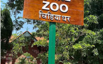 തിരുവനന്തപുരം മൃ​ഗശാല വനത്തിന് സമീപത്തേക്ക് മാറ്റണം; നിർദേശവുമായി മുഖ്യമന്ത്രി