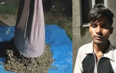 കൊച്ചിയില്‍ 30 കിലോ കഞ്ചാവ് പിടികൂടി, പശ്ചിമ ബംഗാള്‍ സ്വദേശി അറസ്റ്റില്‍