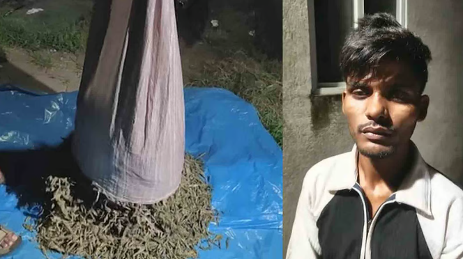കൊച്ചിയില്‍ 30 കിലോ കഞ്ചാവ് പിടികൂടി, പശ്ചിമ ബംഗാള്‍ സ്വദേശി അറസ്റ്റില്‍